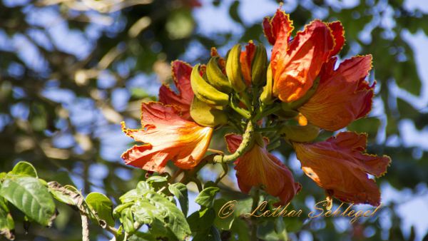 imgp2526 imgp2526