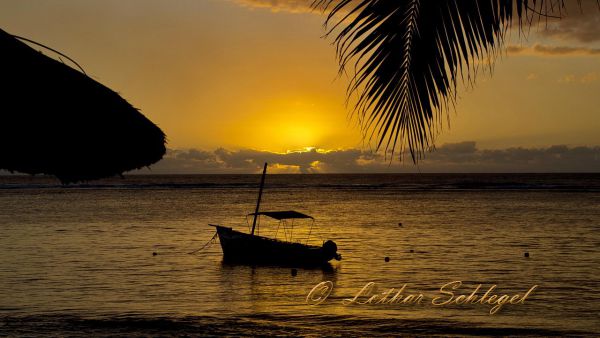 imgp2588 imgp2588