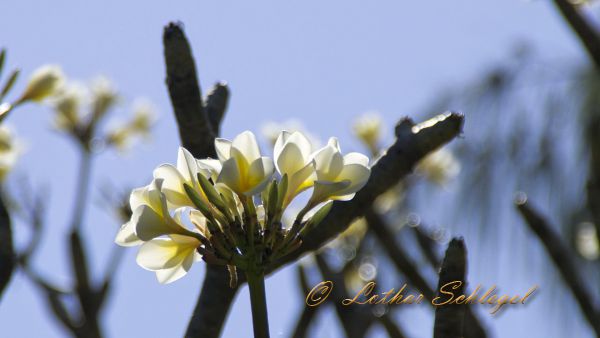 imgp3021 imgp3021