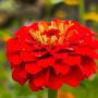 20260819